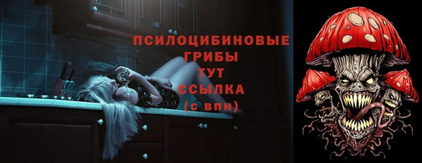 стаф Козельск